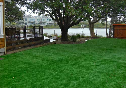 artificial-grass-rebate-magic-newgrass-has-the-answer